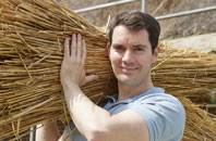 compare thatch roof costs